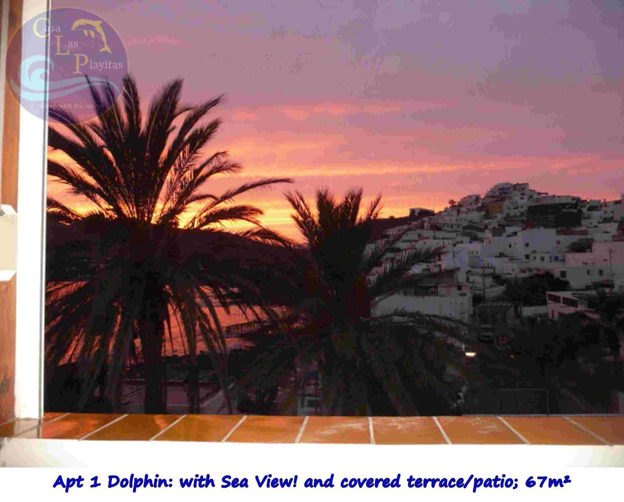 Casa Las Playitas -Clp- Best Sea View - In 1 Minute Ocean Las Playas Экстерьер фото