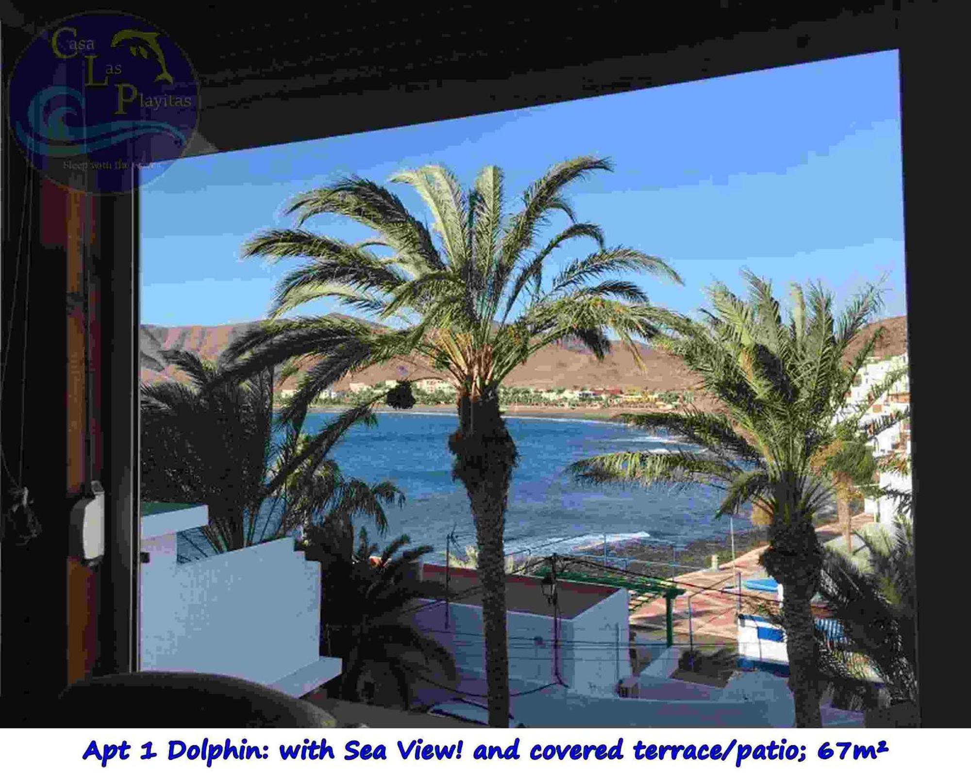 Casa Las Playitas -Clp- Best Sea View - In 1 Minute Ocean Las Playas Экстерьер фото